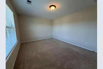 736 Kimsey Drive, Chapin, SC 29036 - Photo 27