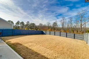 709 Pink Rose, Elgin, SC 29045 - Photo 3