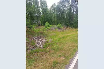 460 Grover Wilson Road, Ridgeway, SC 29130 - Photo 29