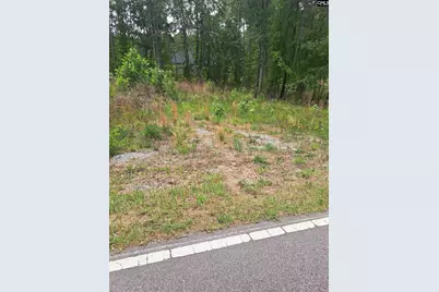 460 Grover Wilson Road, Ridgeway, SC 29130 - Photo 21