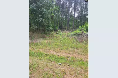 460 Grover Wilson Road, Ridgeway, SC 29130 - Photo 11
