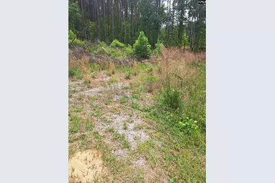 460 Grover Wilson Road, Ridgeway, SC 29130 - Photo 23
