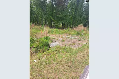 460 Grover Wilson Road, Ridgeway, SC 29130 - Photo 15