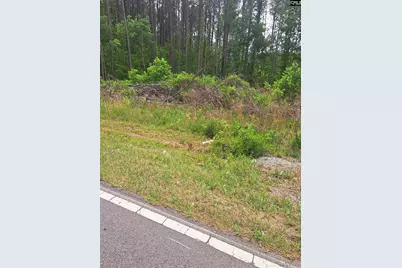 460 Grover Wilson Road, Ridgeway, SC 29130 - Photo 19