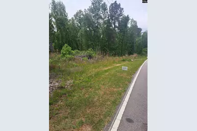 460 Grover Wilson Road, Ridgeway, SC 29130 - Photo 27