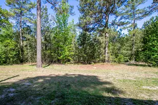 427 Seegars Mill Rd, Camden, SC 29020 - Photo 15