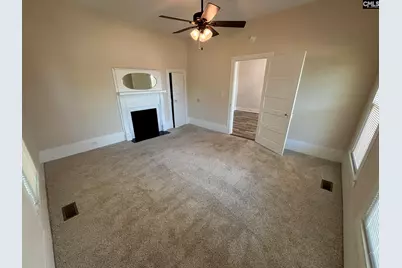 161 Columbia Avenue, Chapin, SC 29036 - Photo 17