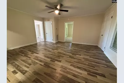161 Columbia Avenue, Chapin, SC 29036 - Photo 11