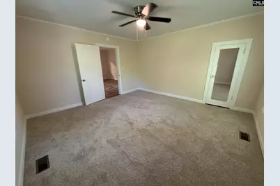 161 Columbia Avenue, Chapin, SC 29036 - Photo 15