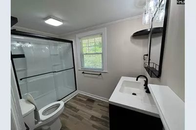 161 Columbia Avenue, Chapin, SC 29036 - Photo 19