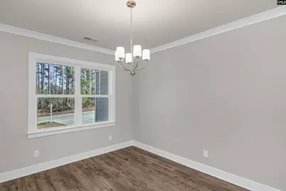 111 Greengarden Drive, Chapin, SC 29036 - Photo 11