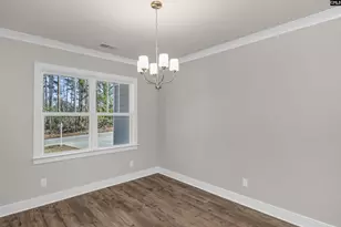 111 Greengarden Dr, Chapin, SC 29036 - Photo 11