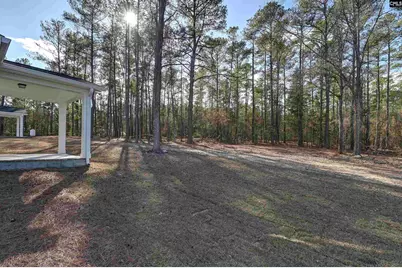 111 Greengarden Drive, Chapin, SC 29036 - Photo 53