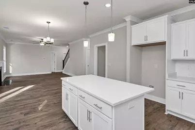 111 Greengarden Drive, Chapin, SC 29036 - Photo 21