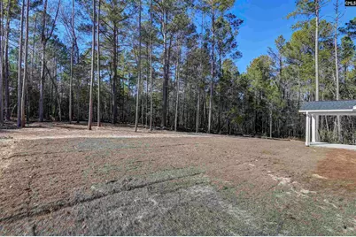 119 Greengarden Drive, Chapin, SC 29036 - Photo 51