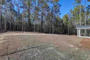 119 Greengarden Dr, Chapin, SC 29036 - Photo 51