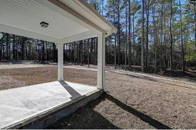 119 Greengarden Drive, Chapin, SC 29036 - Photo 47