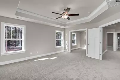 119 Greengarden Drive, Chapin, SC 29036 - Photo 27