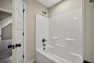 172 Royal Creek Dr, Lexington, SC 29072 - Photo 45