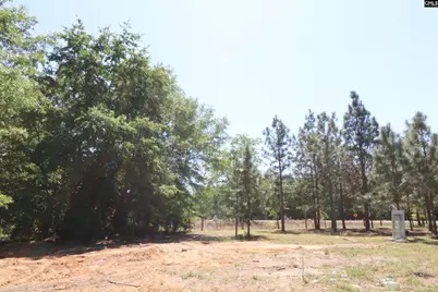 6227 Hollow Creek Road, Salley, SC 29137 - Photo 45