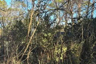 1522 Jerome Dr, Columbia, SC 29203 - Photo 3