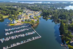 100 Pointe Overlook Dr, Chapin, SC 29036 - Photo 61