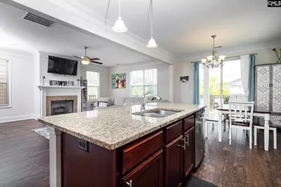 213 Sunset Point Drive, Lexington, SC 29072 - Photo 13