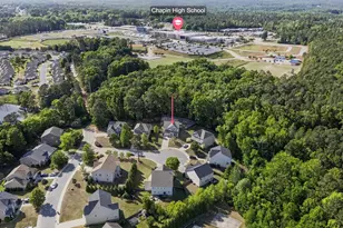 405 Eagle Claw Ct, Chapin, SC 29036 - Photo 67