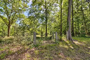 331 Holloway St, Pomaria, SC 29126 - Photo 13