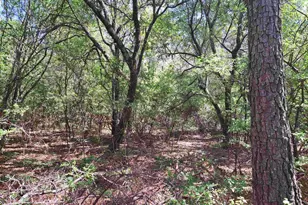 270 Migrant Camp Rd, Batesburg, SC 29006 - Photo 27