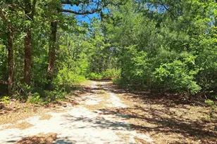 270 Migrant Camp Rd, Batesburg, SC 29006 - Photo 25