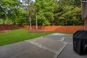123 Jasmine Bay Ln, Chapin, SC 29036 - Photo 9