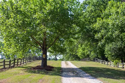 481 Cantey Lane, Rembert, SC 29128 - Photo 53
