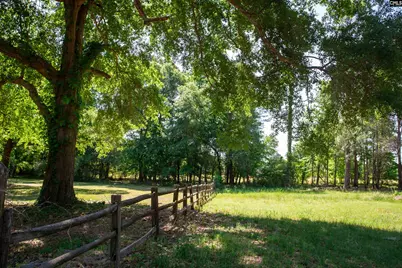 481 Cantey Lane, Rembert, SC 29128 - Photo 71