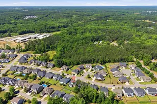 336 Lightning Bug Ln, Lexington, SC 29072 - Photo 53