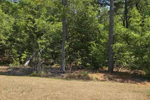 312 Reedmace Ct, Lexington, SC 29072 - Photo 15