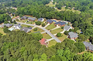 116 Rum Gully Ln, Chapin, SC 29036 - Photo 31