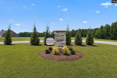 226 Foxglade Drive, Gilbert, SC 29054 - Photo 39