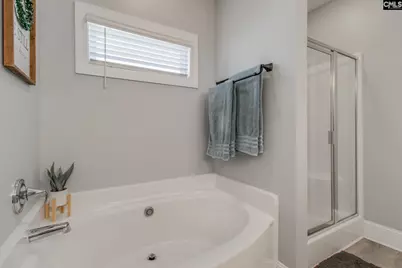 415 Saylor Hall Lane, Chapin, SC 29036 - Photo 19