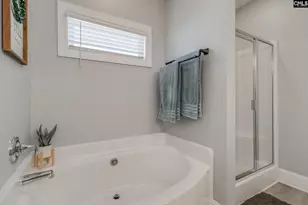 415 Saylor Hall Ln, Chapin, SC 29036 - Photo 19
