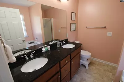 539 Crassula Drive, Lexington, SC 29073 - Photo 9