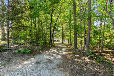 414 Wood Willow Point, Chapin, SC 29036 - Photo 37