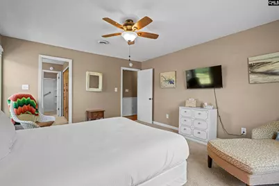 414 Wood Willow Point, Chapin, SC 29036 - Photo 17