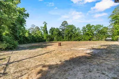 225 Hickory Forest Drive, Columbia, SC 29209 - Photo 33