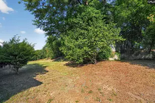 241 Chartwell Rd, Columbia, SC 29210 - Photo 7