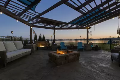 120 Tapp Pointe, Chapin, SC 29036 - Photo 7