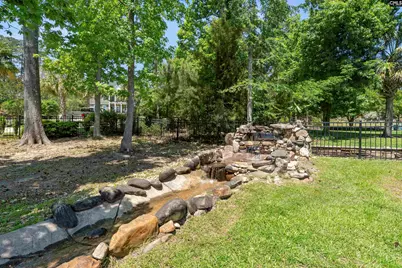 309 Holly Key Lane, Chapin, SC 29036 - Photo 49