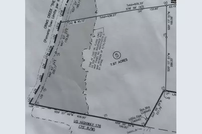 000 US Highway 176 Highway, Pomaria, SC 29126 - Photo 1
