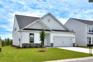 269 Summer Orch Dr, Lexington, SC 29072 - Photo 3