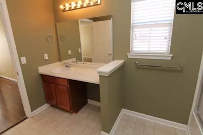 5 Redbrush Court, Chapin, SC 29036 - Photo 21